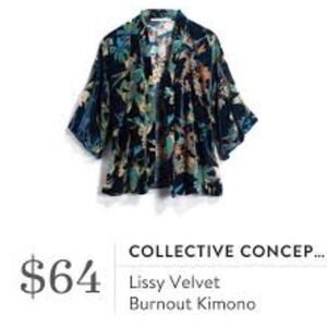 Collective Concepts Lissy Velvet Burnout Open Front Floral Kimono/Topper S Boho